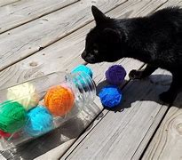 Image result for Cat Toys You Can Make