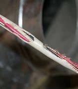 Image result for Wire Insulation Damage
