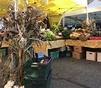Image result for Farmers Market Facts