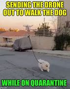 Image result for Remote Dog Meme