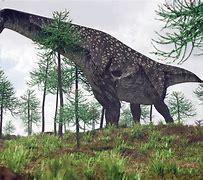 Image result for World's Biggest Dinosaur Photo Real