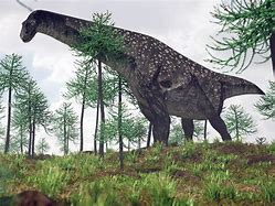 Image result for Heaviest Dinosaur
