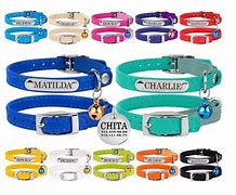 Image result for Personalized Cat Collars Breakaway