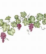 Image result for Grape Vine Transparent