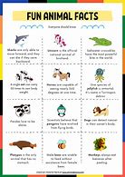 Image result for Things to Know About Animals