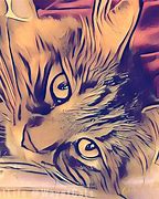 Image result for Cat Face Cartoon Images