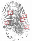 Image result for iPhone 12 Fingerprint Scanner