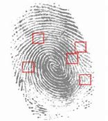 Image result for iPhone with Fingerprint Form Behind