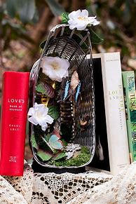 Image result for Book Nooks for Sale