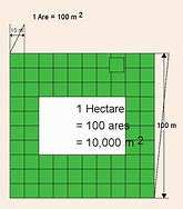 Image result for Hectare
