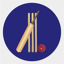 Image result for Cricket Sticker Paper