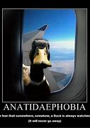 Image result for Anatidaephobia Meme