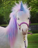 Image result for Real Baby Unicorn Meme