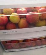 Image result for Some Apple's in the Frodge