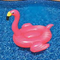Image result for Inflatable Flamingo Float