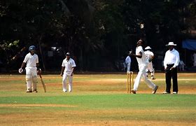 Image result for Action Cricket Field
