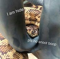 Image result for Snek Boop Meme