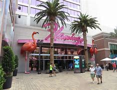 Image result for 3870 E. Flamingo Rd., Las Vegas, NV 89121 United States