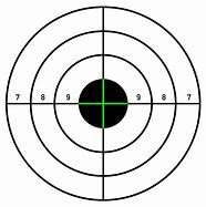 Image result for Competition Shooting Targets