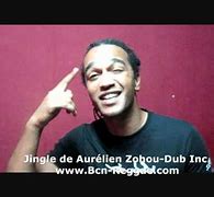 Image result for Dub Inc Couleur