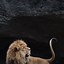 Image result for Lion Wallpaper iPhone X