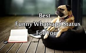 Image result for Crazy Funny Whatsapp Status