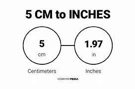 Image result for How Big Is 20 Cm in Inches