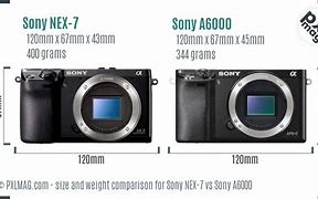 Image result for Sony NEX 7 vs A6000
