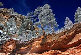 Image result for Arizona Winter Background