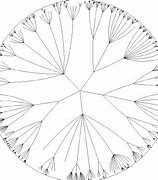 Image result for hyperbolic tree