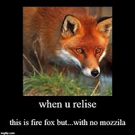 Image result for Firefox Memes Clean