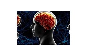 Image result for Healthy Brain Aging