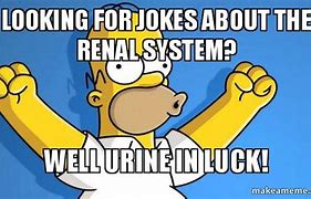 Image result for Urinalysis Meme