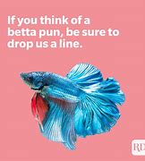 Image result for Fish Puns