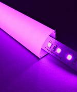 Image result for Svet LED Lights