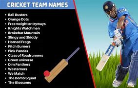 Image result for Cricket Team Name Ideas