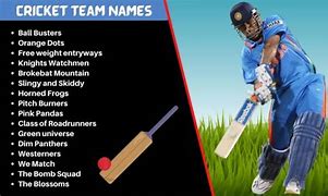 Image result for Funny Cricket Names