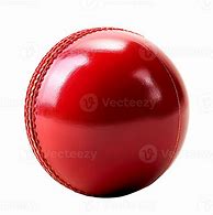 Image result for Cricket Killer
