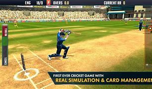 Image result for Cricket World Cup PC Games