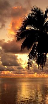 Image result for Hawaii Sunset iPhone