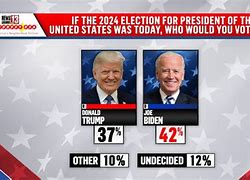 Image result for Us Presidential Election 2024
