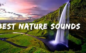 Image result for Nature Sound Effects