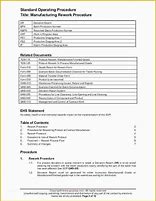 Image result for Manufacturing Work Instruction Template