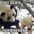 Image result for Panda Hug Meme