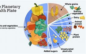 Image result for Healthy Diet Leaflet