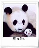 Image result for Bing and Microsoft Edge