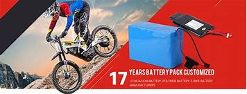 Image result for 36 Volt Electric Bike Battery