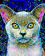 Image result for Diamond Cat