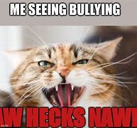 Image result for White Hissing Cat Meme