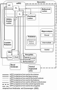 Image result for Memory Process